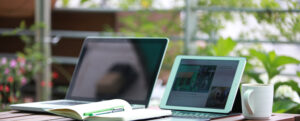 Gratis webinarer